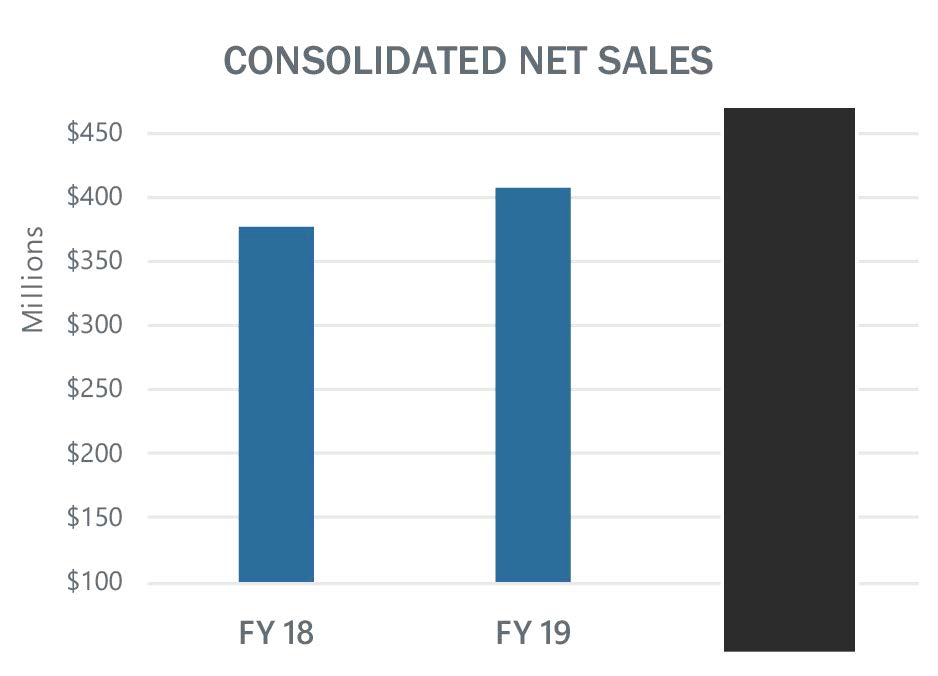 netsales11.jpg